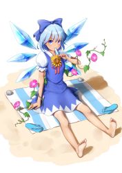 Rule 34 | 1girl, arm support, barefoot, blue bow, blue dress, blue eyes, blue hair, blush, bow, cirno, dress, eating, flip-flops, flower, food, full body, hair bow, hidden star in four seasons, ice, ice wings, morning glory, popsicle, puffy short sleeves, puffy sleeves, sandals, unworn sandals, short hair, short sleeves, sitting, solo, sunflower, tan, tanned cirno, torinari (dtvisu), touhou, wings