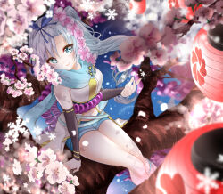 Rule 34 | 1girl, arm support, arm warmers, bare shoulders, blue eyes, blue hair, blue scarf, blue shorts, bow hairband, cherry blossoms, closed mouth, cross-laced clothes, cross-laced legwear, flower, hair flower, hair ornament, hairband, hand up, highres, kikuchi gorou, kousetsu samonji (tenka hyakken), lantern, light blue hair, long hair, looking at viewer, navel, paper lantern, parted bangs, rope, scarf, shimenawa, shorts, side ponytail, sitting on branch, sleeveless, smile, snowflakes, solo, tenka hyakken