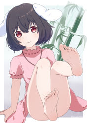 Rule 34 | 1girl, :3, absurdres, animal ears, bamboo, barefoot, black hair, blush, closed mouth, commentary request, dress, feet, flat chest, foot focus, frilled sleeves, frills, full body, hair between eyes, highres, inaba tewi, looking at viewer, pink dress, rabbit ears, rabbit girl, red eyes, ribbon-trimmed dress, ribbon-trimmed sleeves, ribbon trim, short hair, smile, soles, solo, thighs, toes, touhou, yashi (hayashiki0404)