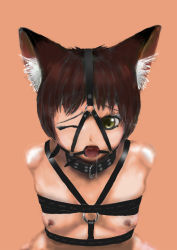 Rule 34 | 1girl, animal ear fluff, animal ears, arms behind back, bdsm, body harness, bondage, bound, breasts, cat ears, cat girl, collar, drooling, flat chest, gag, gagged, green eyes, harness, head harness, highres, ikelag, looking at viewer, nude, one eye closed, ring gag, ring gag, saliva, short hair, solo, tongue