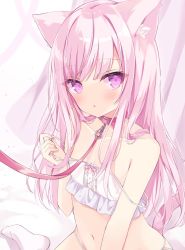 Rule 34 | 1girl, animal ear fluff, animal ears, blush, camisole, cat ears, cat girl, cat tail, collar, collarbone, commentary request, crop top, hand up, hoshi (snacherubi), leash, long hair, navel, original, panties, parted lips, pink hair, pulled by self, purple eyes, red collar, socks, solo, strap pull, strap slip, tail, underwear, underwear only, very long hair, viewer holding leash, white camisole, white panties, white socks
