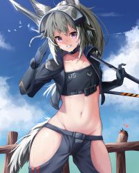 Rule 34 | 1girl, absurdres, animal ears, arknights, armor, black gloves, black jacket, black pants, blue sky, blush, chun bae, cloud, collar, collarbone, cowboy shot, creature, cropped jacket, day, elbow gloves, fence, gloves, grani (arknights), grin, heart, highres, hip vent, holding, holding polearm, holding spear, holding weapon, horse ears, horse girl, horse tail, huge filesize, infection monitor (arknights), jacket, long hair, mask, mask on head, navel, open clothes, open jacket, originium slug (arknights), outdoors, pants, polearm, ponytail, purple eyes, salute, shoulder armor, silver hair, sky, smile, solo, spear, stomach, strapless, tail, teeth, thighs, tube top, weapon, wide hips, wooden fence