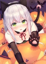 Rule 34 | 1girl, absurdres, animal ears, bare shoulders, bat (animal), black dress, black gloves, breasts, cat tail, claw pose, collarbone, commentary request, dress, elbow gloves, fake animal ears, gloves, green eyes, hairband, halloween, highres, huge filesize, jack-o&#039;-lantern, long hair, looking at viewer, lying, mitoko (tsuchikure), on stomach, original, parted lips, pumpkin, scrunchie, silk, small breasts, solo, spider web, tail, tail scrunchie, tsuchikure, white hair