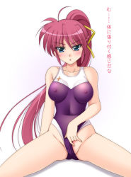 Rule 34 | 00s, 1girl, bare shoulders, blue eyes, blush, breasts, clothing aside, competition swimsuit, covered erect nipples, large breasts, legs, long hair, lyrical nanoha, mahou shoujo lyrical nanoha, mahou shoujo lyrical nanoha a&#039;s, mahou shoujo lyrical nanoha strikers, narutaki shin, nipples, one-piece swimsuit, pink hair, ponytail, see-through, signum, skin tight, solo, spread legs, swimsuit, swimsuit aside, thighs, translated, undressing