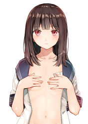 Rule 34 | 1girl, blouse, blunt bangs, blush, brown hair, closed mouth, collarbone, covering privates, covering chest, flat chest, half-closed eyes, kurata rine, long hair, looking at viewer, navel, open clothes, open shirt, original, red eyes, school uniform, serafuku, shirt, short sleeves, simple background, solo, upper body, white background, white shirt