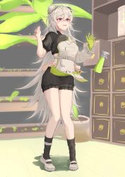 Rule 34 | 1girl, absurdres, apron, arknights, black shorts, black socks, bun cover, calvaires, crop top, disembodied limb, full body, gloves, green gloves, grey footwear, hair between eyes, hands up, highres, indoors, kneehighs, long hair, long sleeves, motion lines, mulberry (arknights), mulberry (plant crude drug) (arknights), official alternate costume, open mouth, plant, potted plant, puffy short sleeves, puffy sleeves, purple eyes, shelf, short shorts, short sleeves, shorts, silver hair, single glove, single sleeve, socks, solo focus, standing, torso grab, trembling, very long hair, white apron