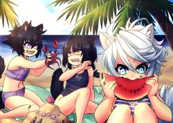 Rule 34 | 3girls, abs, aged down, beach, black hair, blanket, blue eyes, braid, child, crab, crescentia fortuna, deathblight, eating, empress (deathblight), fangs, food, fruit, laika (deathblight), minori (deathblight), multiple girls, navel, ocean, one-piece swimsuit, palm tree, ponytail, purple eyes, sand, scared, short hair, sky, smile, swimsuit, tree, watermelon, white hair, yellow eyes