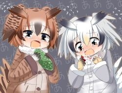 Rule 34 | 2girls, blush, brown coat, brown wings, chili pepper, coat, commentary request, crying, crying with eyes open, eating, eurasian eagle owl (kemono friends), flying sweatdrops, fur collar, grey coat, grey hair, grey wings, head wings, kemono friends, lets0020, long sleeves, multicolored hair, multiple girls, northern white-faced owl (kemono friends), open mouth, screaming, short hair, tears, upper body, white hair, wings