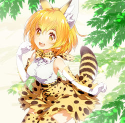 Rule 34 | 10s, 1girl, :d, animal ears, arm at side, armpits, bare shoulders, belt, bow, bowtie, breasts, brown belt, brown eyes, cat ears, cat tail, clenched hands, cross-laced clothes, elbow gloves, eyelashes, gloves, hair between eyes, hand up, kemono friends, looking at viewer, medium breasts, open mouth, orange hair, outdoors, paw pose, peco19peco, plant, sandstar, serval (kemono friends), serval print, serval tail, shirt, short hair, skirt, sleeveless, sleeveless shirt, smile, solo, striped tail, tail, tareme, teeth, thighhighs, white shirt, wind, zettai ryouiki