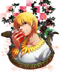 Rule 34 | 1boy, apple, blonde hair, bracelet, chain, fate/zero, fate (series), food, fruit, gilgamesh (fate), jewelry, male focus, necklace, official alternate costume, red eyes, ruchi, snake, solo, tree