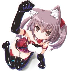 Rule 34 | 1girl, animal ears, bad id, bad pixiv id, bare shoulders, blush, breasts, cat ears, dd (ijigendd), detached collar, elbow gloves, frame arms girl, gloves, headgear, innocentia, long hair, looking at viewer, solo, thighhighs, twintails, white background