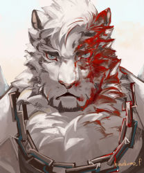 Rule 34 | 1boy, animal ears, arknights, bad id, bad twitter id, black tank top, blood, blood on face, chain, chain necklace, frown, furry, furry male, highres, hinokumo f, jewelry, looking at viewer, male focus, mountain (arknights), necklace, portrait, scar, scar across eye, scar on face, short hair, solo, tank top, tiger boy, tiger ears, white fur, white hair