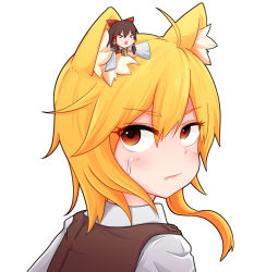 Rule 34 | &gt; &lt;, 2girls, ahoge, animal ear fluff, animal ears, ascot, asymmetrical hair, blonde hair, bow, brown hair, brown vest, closed mouth, collared shirt, commentary request, cookie (touhou), detached sleeves, dress, fox ears, fox girl, hair between eyes, hakurei reimu, highres, looking at another, medium hair, mini person, minigirl, miramikaru riran, multiple girls, red bow, red dress, red eyes, ribbon-trimmed sleeves, ribbon trim, sakenomi (cookie), shirt, sidelocks, simple background, sleeves past fingers, sleeves past wrists, sweatdrop, touhou, triangle mouth, upper body, vest, white background, white shirt, white sleeves, yan pai, yellow ascot
