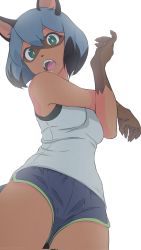 Rule 34 | 1girl, akagi (fmttps), animal ears, blue hair, blue shorts, brand new animal, breasts, furry, furry female, green eyes, highres, kagemori michiru, looking at viewer, medium breasts, open mouth, raccoon ears, raccoon girl, raccoon tail, shirt, short hair, shorts, simple background, solo, tail, teeth, thighs, upper teeth only, white background, white shirt