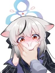 Rule 34 | 1boy, 1girl, :i, animal ears, blue archive, blue halo, blush, cat ears, cheek squash, disembodied hand, gradient hair, grey hair, halo, hand on another&#039;s face, highres, jacket, kokona (blue archive), long hair, looking at viewer, multicolored hair, painterliuhao, red eyes, sensei (blue archive), simple background, sleeveless, solo focus, streaked hair, striped clothes, striped jacket, tareme, tearing up, tears, upper body, vertical-striped clothes, vertical-striped jacket, white background, white hair