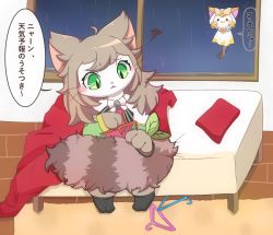 Rule 34 | artemis (cat busters), artist request, brown hair, cat, cat busters, comb, furry, green eyes, japanese text, long hair, night, on bed, rain, sitting, text focus, translation request
