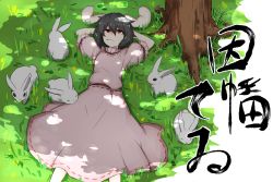 Rule 34 | 1girl, animal, animal ears, arm garter, arms behind head, arms up, bad id, bad pixiv id, black hair, character name, dappled sunlight, dress, highres, inaba tewi, kankan33333, looking up, lying, on back, pink dress, puffy short sleeves, puffy sleeves, rabbit, rabbit ears, rabbit girl, red eyes, short hair, short sleeves, sunlight, touhou, tree, under tree
