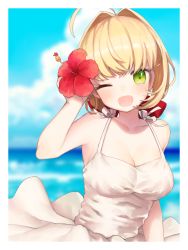 Rule 34 | 10s, 1girl, ahoge, blonde hair, border, breasts, cloud, day, dress, fate/extra, fate (series), flower, green eyes, hair flower, hair intakes, hair ornament, hair ribbon, highres, large breasts, munuko, nero claudius (fate), nero claudius (fate), nero claudius (fate/extra), ocean, one eye closed, open mouth, red flower, red ribbon, ribbon, solo, white dress