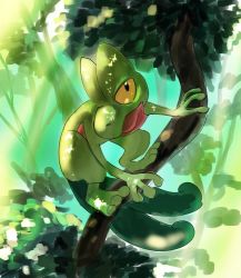 Rule 34 | black eyes, branch, closed mouth, commentary request, creatures (company), day, game freak, gen 3 pokemon, looking up, nintendo, no humans, outdoors, pecohophop, pokemon, pokemon (creature), solo, toes, treecko