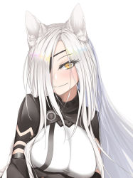 Rule 34 | 1girl, alchemist (girls&#039; frontline), animal ears, blush, breasts, cat ears, closed mouth, eien (x0b3o6x7), eyepatch, girls&#039; frontline, highres, long hair, looking at viewer, sangvis ferri, smile, solo, white background, white hair, yellow eyes
