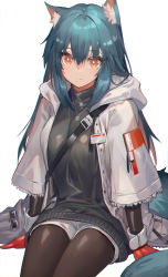 Rule 34 | 1girl, akizone, animal ear fluff, animal ears, arknights, black pantyhose, blue hair, breasts, gloves, hair between eyes, highres, hood, hooded jacket, jacket, jewelry, long hair, long sleeves, looking at viewer, medium breasts, name tag, necklace, official alternate costume, orange eyes, pantyhose, red gloves, short shorts, shorts, simple background, sitting, solo, straight hair, strap, sweater, tail, texas (arknights), texas (winter messenger) (arknights), turtleneck, turtleneck sweater, white background, white jacket, wolf ears, wolf tail, wrist cuffs