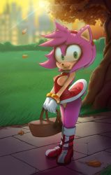 Rule 34 | 1girl, amy rose, animal ears, autumn leaves, bare shoulders, basket, blurry, blurry background, body fur, boots, breasts, breasts out, bush, cleft of venus, clothes lift, dress, dress lift, female focus, full body, furry, furry female, gloves, grass, green eyes, grin, hairband, happy, hexanne, highres, holding, holding basket, knee boots, leaf, light rays, looking at viewer, medium breasts, nipples, no bra, no panties, outdoors, path, picnic basket, pink fur, pink hair, pussy, red dress, red footwear, red hairband, road, short dress, short hair, sidelocks, sleeveless, sleeveless dress, smile, solo, sonic (series), standing, sun, sunlight, sunset, tail, teeth, tree, two-tone fur, uncensored, v arms, white gloves, wind, wind lift, yellow fur