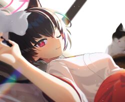 Rule 34 | 1girl, absurdres, animal, animal ear fluff, animal ears, black hair, blue archive, blurry, blurry foreground, blush, bongnom, breasts, cat, cat ears, closed mouth, commentary, depth of field, dutch angle, hair between eyes, hakama, hakama skirt, halo, highres, japanese clothes, kimono, looking at viewer, lying, medium breasts, miko, on back, one eye closed, red eyes, red hakama, serika (blue archive), serika (new year) (blue archive), short hair, skirt, smile, solo, sweat, upper body, white kimono