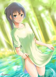 Rule 34 | 1girl, alternate hairstyle, bad id, bad pixiv id, black hair, black ribbon, blue eyes, blurry, blurry background, breasts, closed mouth, collarbone, commentary request, day, depth of field, dress, eyebrows hidden by hair, goldowl, green dress, hair between eyes, hair ribbon, highres, long hair, mushoku tensei, outdoors, ponytail, ribbon, roxy migurdia, short sleeves, skirt hold, small breasts, solo, standing, tree, very long hair, wading, water