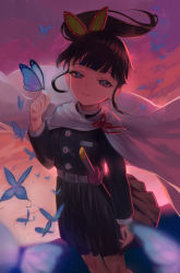 Rule 34 | 1girl, absurdres, belt, black hair, blunt bangs, bug, butterfly, butterfly hair ornament, butterfly on hand, buttons, cape, cloak, closed mouth, day, hair ornament, half-closed eyes, highres, insect, katana, kimetsu no yaiba, looking at viewer, medium hair, outdoors, pleated skirt, purple eyes, side ponytail, skirt, smile, solo, standing, sword, torriet, tsuyuri kanao, uniform, weapon, white belt, white cape, white cloak