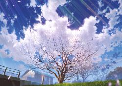 Rule 34 | bare tree, blue sky, cherry blossoms, cloud, cloudy sky, commentary request, day, grass, house, mocha (cotton), no humans, original, outdoors, petals, pole, railing, scenery, sky, spring (season), tree, window