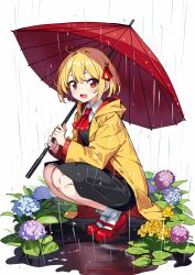Rule 34 | 1girl, ascot, blonde hair, flower, full body, hair ribbon, high heels, highres, holding, holding umbrella, hydrangea, jacket, leaf, looking at viewer, open mouth, red ascot, red eyes, red ribbon, red socks, red umbrella, ribbon, rumia, short hair, simple background, sitting, socks, solo, squatting, touhou, umbrella, white background, yabu q, yellow jacket