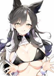 Rule 34 | 1girl, :q, alternate costume, animal ears, atago (azur lane), atago (stunning speedster) (azur lane), azur lane, bikini, bikini pull, black bikini, black hair, blush, breasts, brown eyes, cleavage, clothes pull, extra ears, hair between eyes, hair ribbon, head tilt, heart, highres, hoerutarou, jacket, large breasts, long hair, long sleeves, looking at viewer, mole, mole under eye, pulled by self, race queen, ribbon, solo, swept bangs, swimsuit, tongue, tongue out, white jacket, white ribbon