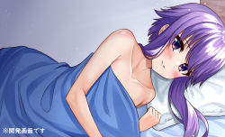 Rule 34 | 1girl, april fools, bed, bed sheet, blush, closed mouth, collarbone, hand up, long hair, looking at viewer, lying, naked sheet, on bed, on side, pillow, pov across bed, purple eyes, purple hair, smile, solo, tenneko yuuri, under covers, vocaloid, voiceroid, yuzuki yukari