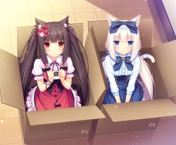Rule 34 | 10s, 2girls, :&lt;, animal ears, ascot, blue eyes, blunt bangs, blush, bow, box, breasts, brooch, brown eyes, buttons, cardboard box, cat ears, cat girl, cat tail, center frills, chocola (nekopara), clenched hands, cross-laced clothes, dress, frilled dress, frills, game cg, gem, hair bow, hair ribbon, highres, in box, in container, indoors, jewelry, light particles, lolita fashion, long hair, looking at viewer, low twintails, multiple girls, nekopara, original, pinstripe pattern, polka dot, polka dot bow, ribbon, ribbon trim, sayori (neko works), sidelocks, sitting, slit pupils, small breasts, striped, tail, tail ornament, tail ribbon, tile floor, tiles, twintails, v arms, vanilla (nekopara), very long hair, white hair, wrist cuffs