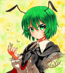 Rule 34 | 1girl, antennae, bad id, bad pixiv id, black cape, buttons, cape, closed mouth, collared shirt, dress shirt, green background, green eyes, green hair, hair between eyes, long sleeves, looking at viewer, puffy long sleeves, puffy sleeves, qqqrinkappp, shadow, shikishi, shirt, short hair, signature, smile, solo, touhou, traditional media, upper body, white shirt, wriggle nightbug