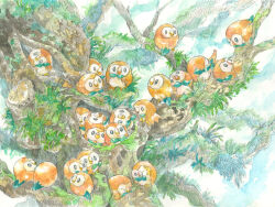 Rule 34 | animal focus, bird, black eyes, bright pupils, creatures (company), game freak, gen 7 pokemon, head tilt, in tree, leaf, looking back, nintendo, no. 017, no humans, one eye closed, open mouth, outdoors, owl, painting (medium), pokemon, pokemon (creature), preening, rowlet, traditional media, tree, watercolor (medium), white pupils