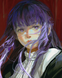 Rule 34 | 1girl, blunt bangs, blurry, blurry foreground, closed mouth, fern (sousou no frieren), floating hair, highres, lips, long hair, looking to the side, pluvium grandis, purple eyes, purple hair, realistic, red background, solo, sousou no frieren, upper body, wind