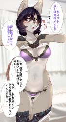 Rule 34 | 1girl, bra, breasts, buried frog, dog, female focus, furry, furry female, indoors, japanese text, panties, purple hair, short hair, solo, text focus, translation request, underwear, undressing