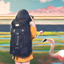 Rule 34 | 1girl, agnamore, animal, backpack, bad id, bad pixiv id, bag, bird, black hair, blurry, blurry background, camera, cowboy shot, day, depth of field, facing away, flamingo, from behind, hand up, holding, holding camera, lake, meadow, mountain, nature, no pants, orange shirt, original, outdoors, pond, shirt, short sleeves, sky, solo, taking picture