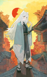 Rule 34 | 1girl, absurdres, animal ears, architecture, east asian architecture, fishofthelakes, full body, geta, grey hair, hand up, haori, highres, holding, holding sword, holding weapon, japanese clothes, long hair, long sleeves, looking at viewer, on roof, original, outdoors, parted lips, sheath, sheathed, short eyebrows, socks, solo, standing, sunset, sword, tabi, tree, weapon, white socks, wide sleeves, yellow eyes