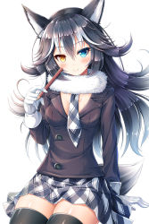 Rule 34 | 10s, 1girl, akashio (loli ace), animal ears, black hair, black necktie, black thighhighs, blue eyes, blush, breasts, fur collar, gloves, grey wolf (kemono friends), heterochromia, highres, holding, holding pencil, kemono friends, long hair, long sleeves, looking at viewer, medium breasts, miniskirt, multicolored hair, necktie, pencil, plaid, plaid necktie, plaid neckwear, plaid skirt, simple background, sitting, skirt, smile, solo, tail, thighhighs, two-tone hair, white background, white gloves, white hair, wolf ears, wolf tail, yellow eyes