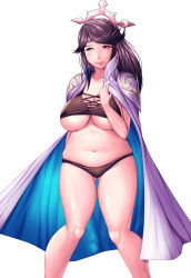 Rule 34 | 1girl, breasts, brown eyes, brown hair, cape, circlet, cleavage, fire emblem, fire emblem fates, gluteal fold, harihisa, highres, large breasts, long hair, mature female, mikoto (fire emblem), navel, nintendo, plump, simple background, solo, standing, stomach, tiara, underboob, underwear
