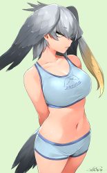 Rule 34 | 1girl, arms behind back, bird tail, blue bra, blue shorts, boyshort panties, bra, breasts, closed mouth, clothes writing, collarbone, commentary, cowboy shot, dated, eyes visible through hair, frown, green background, green eyes, grey hair, happa (cloverppd), head wings, kemono friends, large breasts, looking at viewer, navel, sanpaku, shoebill (kemono friends), shorts, signature, simple background, single sidelock, solo, sports bra, standing, tail, tsurime, underwear, underwear only, wings