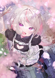 Rule 34 | 1girl, :d, absurdres, belt, blush, cherry blossoms, fang, flat chest, frills, highres, holding hands, looking at viewer, makaino ririmu, multicolored hair, nijisanji, open mouth, pink hair, platinum blonde hair, pointy ears, purple eyes, smile, two-tone hair, utsusumi kio, virtual youtuber