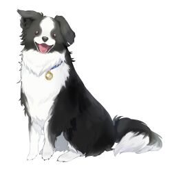 Rule 34 | animal, animal focus, border collie, dog, floppy ears, full body, hatomachi hane, highres, looking at viewer, no humans, open mouth, original, pendant watch, simple background, sitting, solo, watch, white background