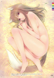 Rule 34 | 00s, 1girl, absurdres, animal ears, barefoot, brown hair, fang, fang out, feet, highres, holo, mikazuki akira!, nude, red eyes, solo, spice and wolf, tail, toes, wolf ears, wolf tail