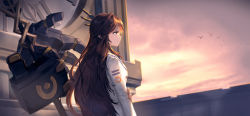 Rule 34 | 1girl, bird, black moon: extend, brown eyes, brown hair, character request, closed mouth, cloud, cloudy sky, coat, grey sky, hair ornament, highres, long hair, long sleeves, mechanical arms, outdoors, sky, solo, tanwq, white coat