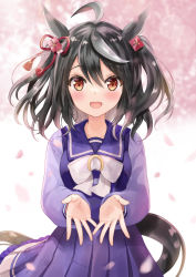 Rule 34 | 1girl, :d, ahoge, animal ears, black hair, bow, breasts, brown eyes, commentary request, frilled skirt, frills, grey hair, hair between eyes, hair ornament, horse ears, horse girl, horse tail, kitasan black (umamusume), long sleeves, looking at viewer, medium breasts, motoi ayumu, open mouth, petals, pleated skirt, puffy long sleeves, puffy sleeves, purple shirt, purple skirt, school uniform, shirt, skirt, smile, solo, strapless, tail, tracen school uniform, two side up, umamusume, white bow