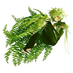 Rule 34 | 1other, :o, androgynous, brown eyes, detached sleeves, elbow gloves, flat chest, floating, full body, gloves, green hair, green wings, hair between eyes, highres, knees up, leaf, long sleeves, looking at viewer, original, plant, simple background, solo, toeless legwear, white background, wings, zerg (z79438659)