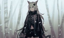 Rule 34 | 1girl, :d, absurdres, animal ear fluff, animal ears, arknights, birch tree, black jacket, black shorts, brown eyes, brown gloves, cowboy shot, day, fangs, fixro2n, gloves, grey hair, hair between eyes, hair ornament, hairclip, highres, holding, jacket, lappland (arknights), long hair, long sleeves, looking away, looking to the side, navel, open mouth, outdoors, scar, scar across eye, scar on face, short shorts, shorts, smile, snowing, solo, standing, tree, very long hair